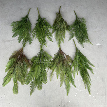 21�~�а�ܛ�z�F��ާ�~ ����Gֲ�ָ��辰�b��~βާ���~�ݲ�˹��