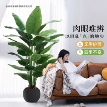 ����Gֲ�����Bֲ���p���҃ȴ��ͷ������Ԕ[���͏d�b���ؼٻ���