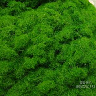 Scene sand table manual DIY simulation lawn moss powder landscaping green wool powder rockery decorative moss hay