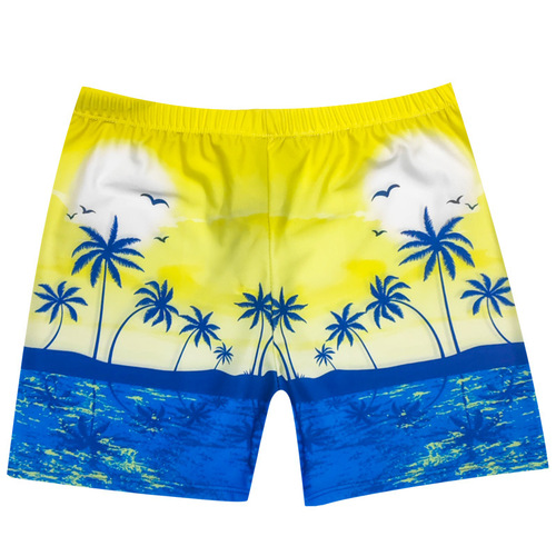 Men's Professional Flat-Bottom Swim Trunks, Gym Shorts, Swimwear, Quick-Dry, 2025 Beach Shorts, Hot Spring Shorts