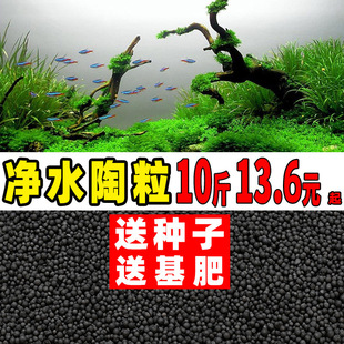 Fish Tank Ceramsite Sand Non-Powdered Bottom Sand Tank Sand Non-Turbid Water Landscaping Water Seed Package Aquarium Cement