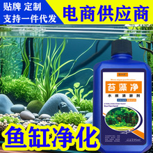 ~׳儩ˮ|ˮƷȥ̦ȫˮݲ~Gˮ