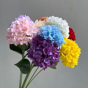 ��c���潑�� �����ǽ��� ��Y���b�·����ꐲ��ÏS�����l���Q