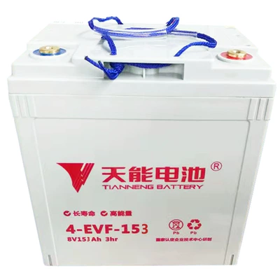 Floor Washing Machine Battery – Car battery/battery