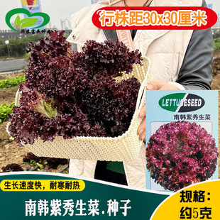 ���n�������˷N�� �r��ˈ@���ļ����������ް�ɢ���~�����߲���