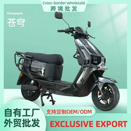 电动摩托车;其他电动车;两轮摩托车