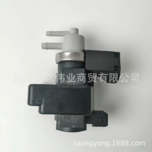 6655404197 Ssangyong KGM Turbo təzyiq tənzimləyicisi vakuum klapanı