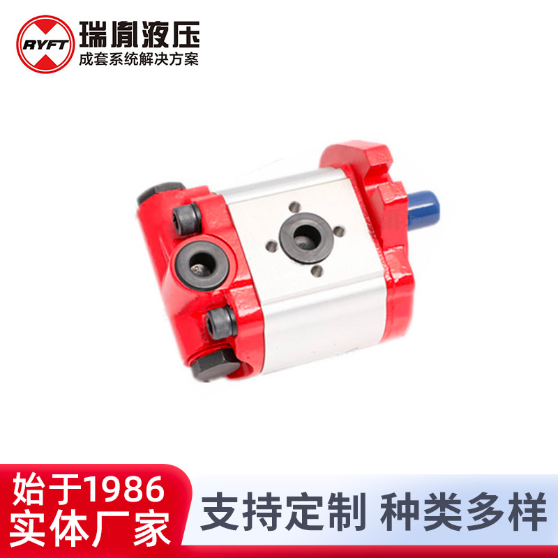 供应批发瑞胤 液压系统 液压泵 高速非标 齿轮泵