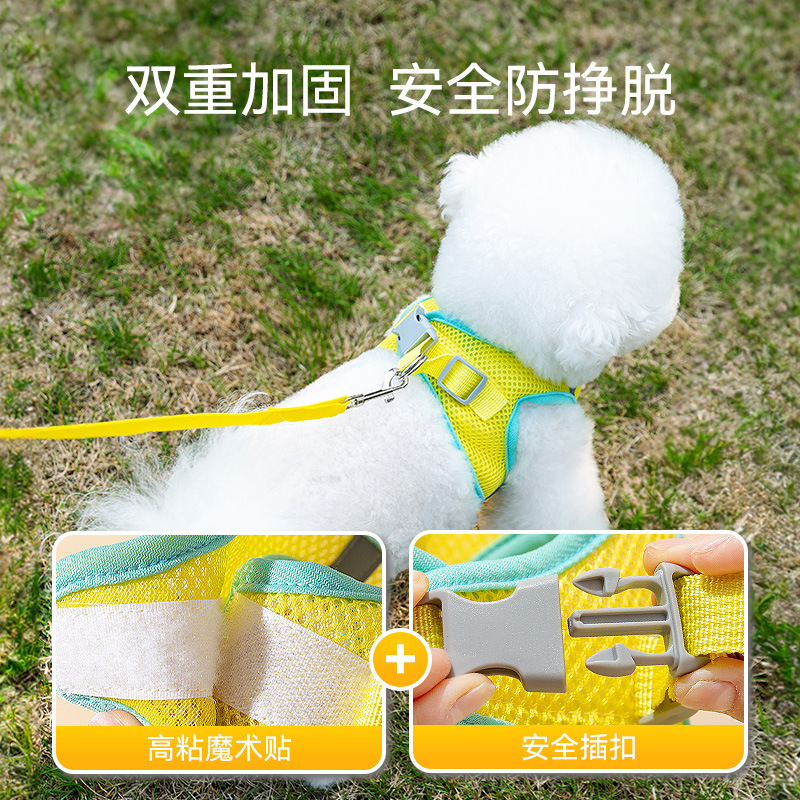 Cuatro estaciones para perros, accesorios tridimensionales divertidos y transpirables, ojos grandes, linda correa para mascotas, cuerda para pasear perros, cuerda para pasear gatos