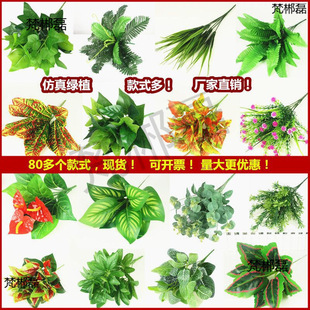 ����ֲ��Gֲ���ٻ����҃����ⱳ�����b��G�}�����řڻ�