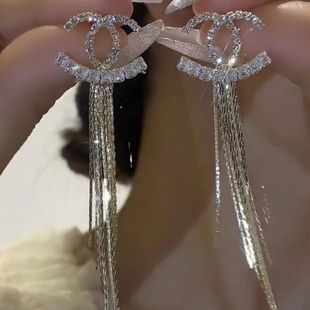Goddess 2024 Elegant Long Tassel Earrings New High-end Sense Internet Popular Light Luxury Modified Face Silver Pin Earrings