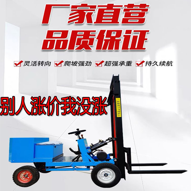 电动叉车1吨小型液压升降装卸车仓库简易电叉车座驾式起重堆高 车