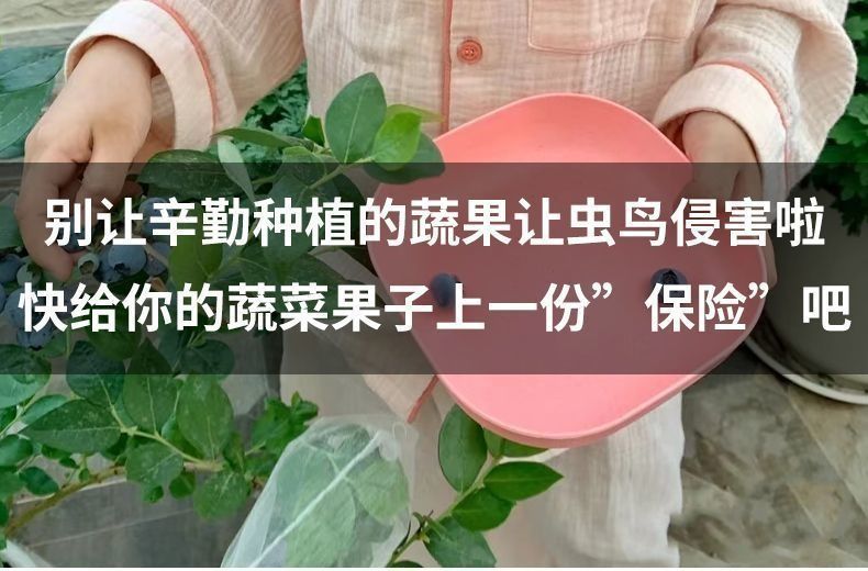 c8078454-bf73-47d2-8bed-915951c3f9b7.jpe