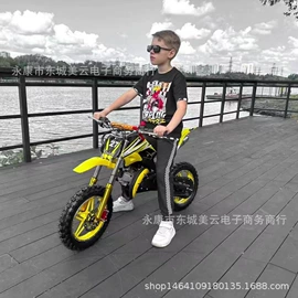 沙滩车;其他摩托车;平衡车