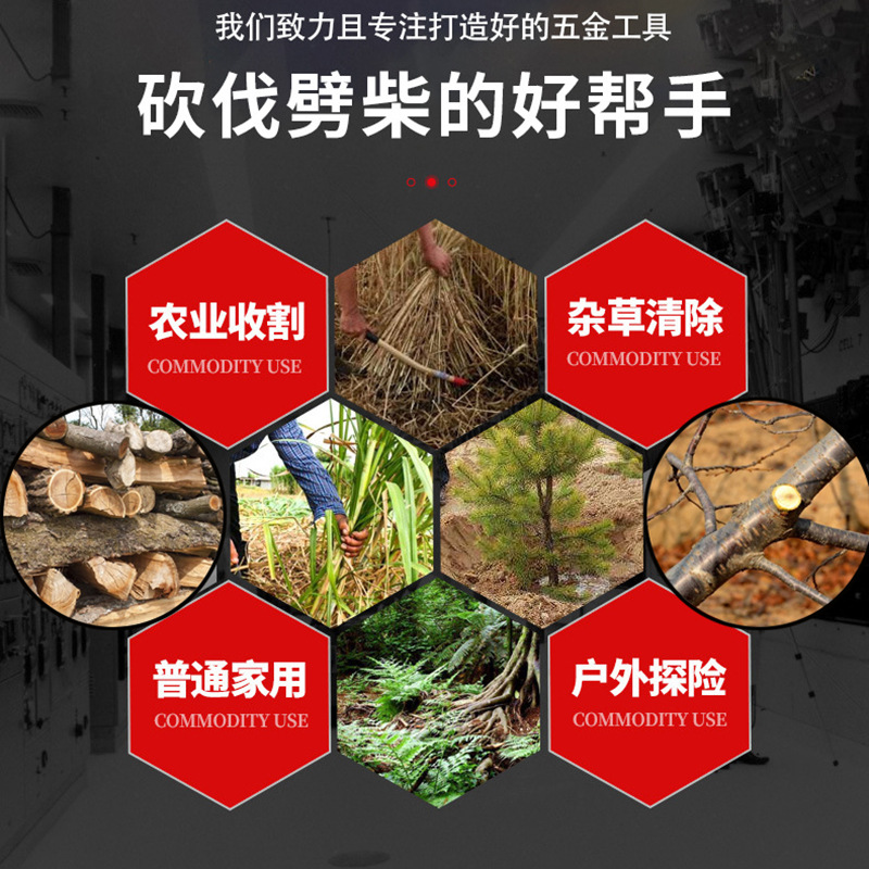 15582324586_1470600601