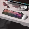 Set, white mouse, L98, T6