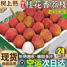 2026�����r��֦�Fժ�F�l������֦���������^����֦���\һ�����l