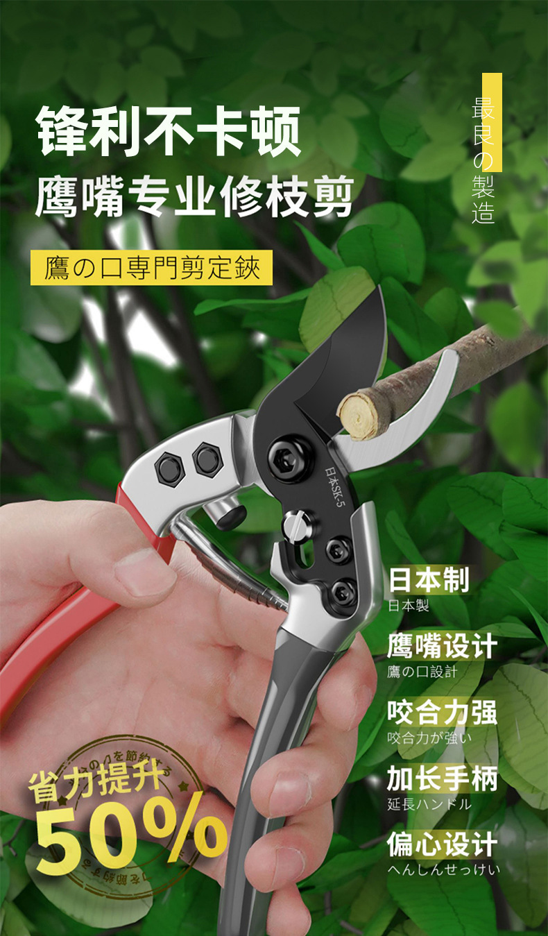 h2uTiviiztSHn2aJjQ1VWrJ+OeSZoZhovH/e