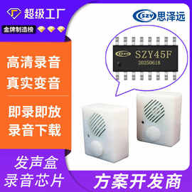 供应录音语音芯片 录变音芯片 变音芯片  录放音芯片 方案定制