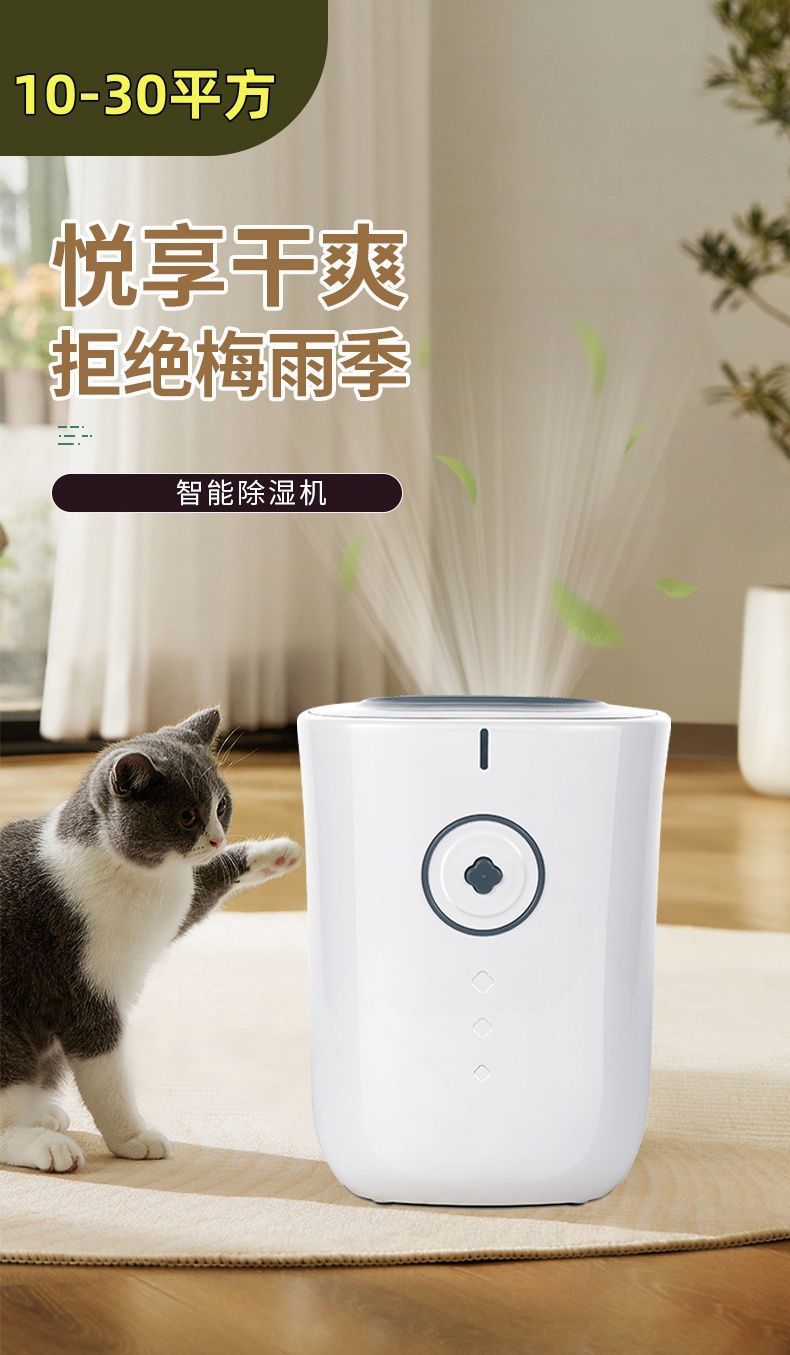 905a3106-8ae8-4519-ab16-f0ccf2ec4c9f.jpe