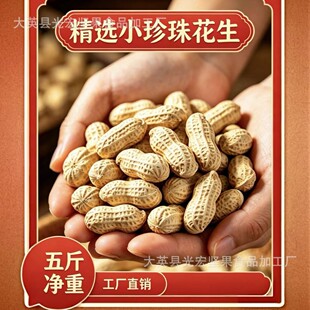 5��С��������ζ�u��������������؛�������S��ֱ�N���]��������