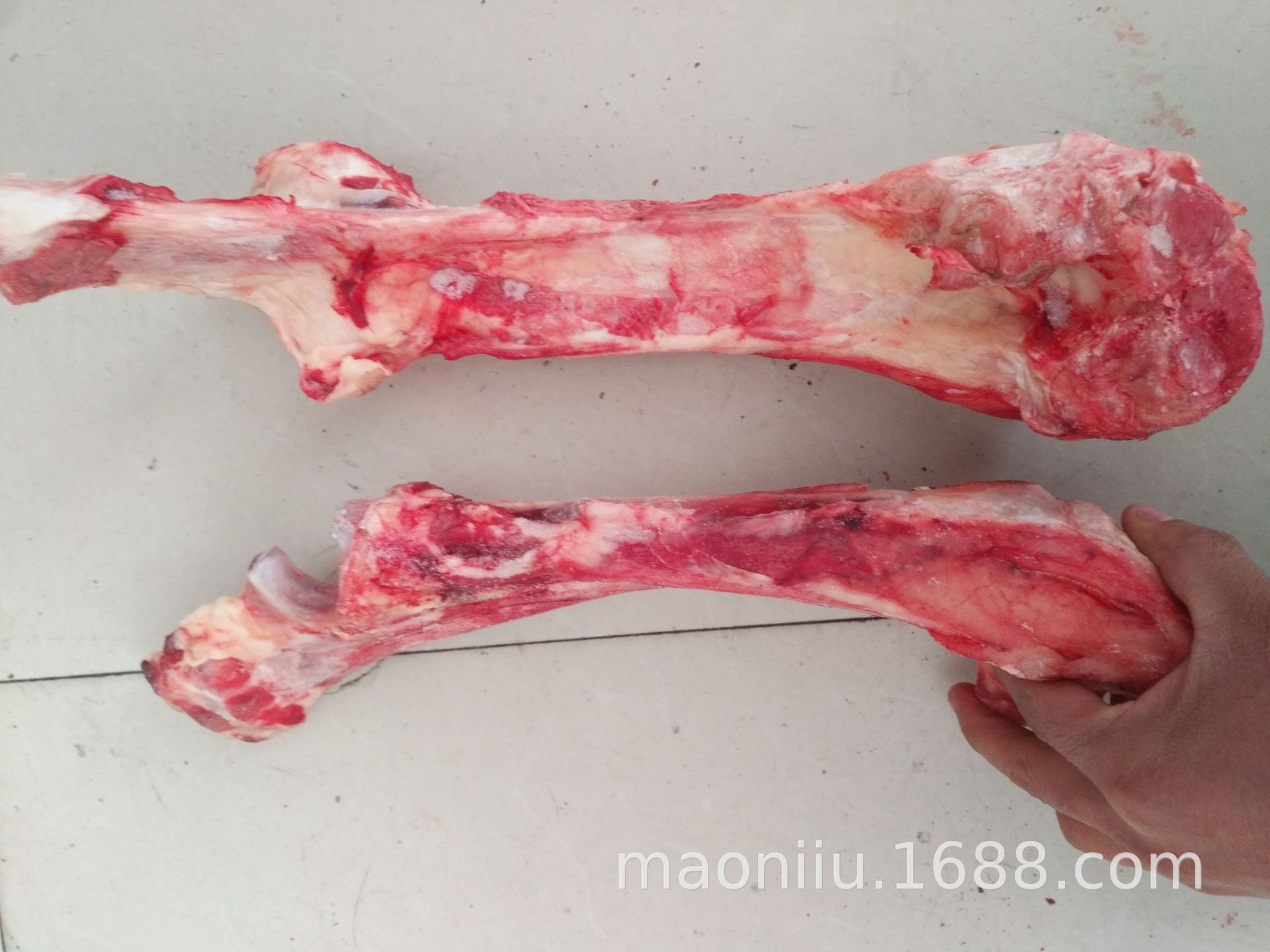 阿里旺旺圖片20210324103730