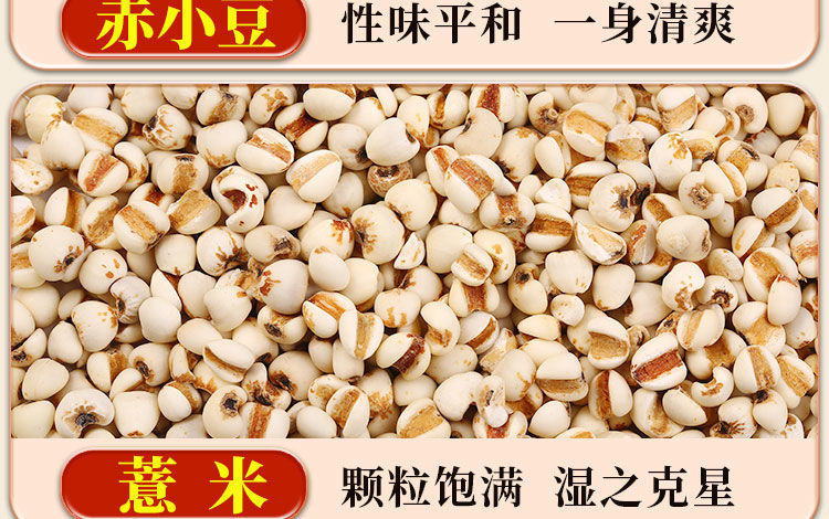 Five-Finger Fig Poria Tea Wuzhi Maotao Fuling Cha 200g 20 Teabags Dampness-Relief Herbal Blend in use