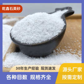 厂家供应石英砂雪花白白色细砂水处理铸造滤料过滤造景沙滩石英砂