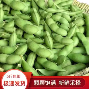 �Fժ�������r��ë��5��r���߲����ඹ�r���ԷN�G���v��ë���v