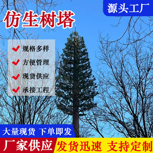 ���^���������ɘ����������b������������Ƅ���̖�F��SG��������