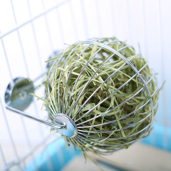 Manufacturer sells rabbit