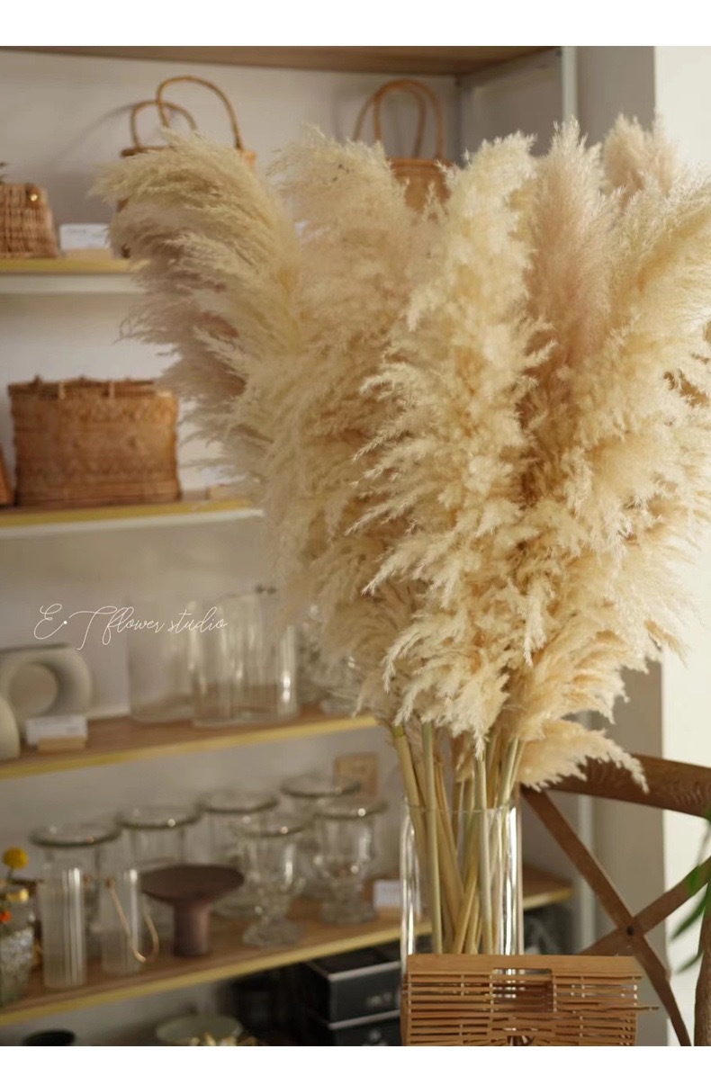 01653a8bfc7e25b9a097a83b7c2cc7