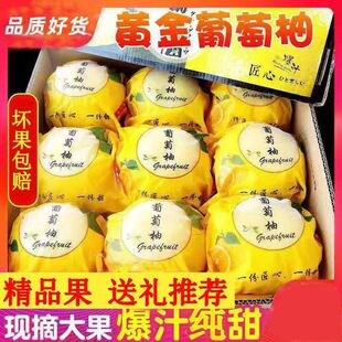 ���������rˮ������ƽ������ˮ���Y���bƷ�N�����֑����羳�S���l