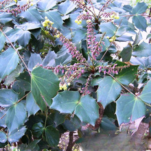 l M~ ~ ʮ󹦄  @־G ̨