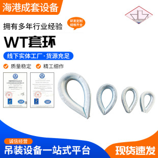 WT Collar Marine Collar Chicken Heart Ring Wire Rope Collar Wire Rope Accessories Triangular Ring Stainless Steel Wire Rope