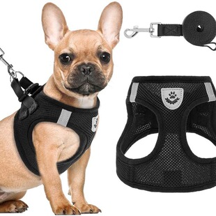 Dog leash Teddy Bear Cat vest chest strap Korean version of small dog pet supplies dog leash wholesale