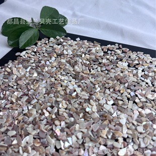 Shells 2-4mm Washed Peeled Shell Particles Fish Tank Flower Pot Landscaping Decoration Paving Stone DIY Jewelry Shell Pieces