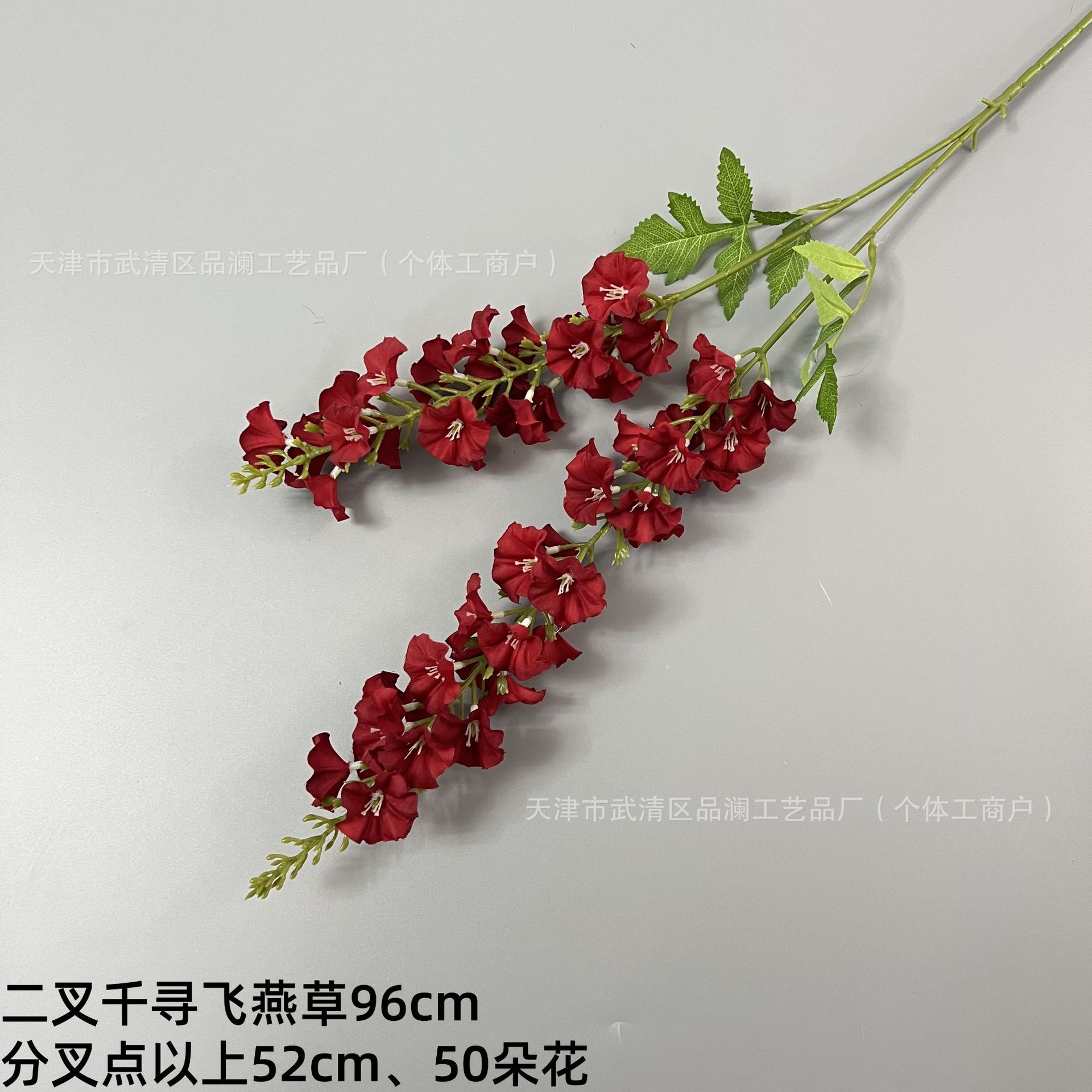 두 갈래의 천진 데드 히아신스