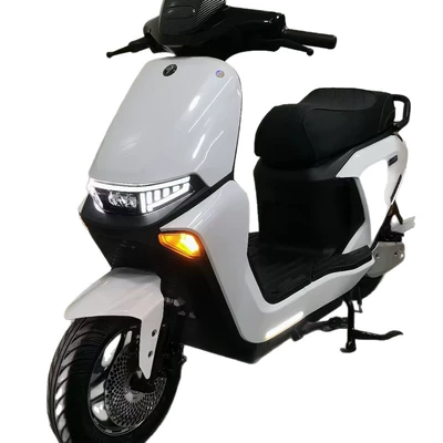 Electric Motorcycle Electric Bicycle, Elektrikli motosikletlər
