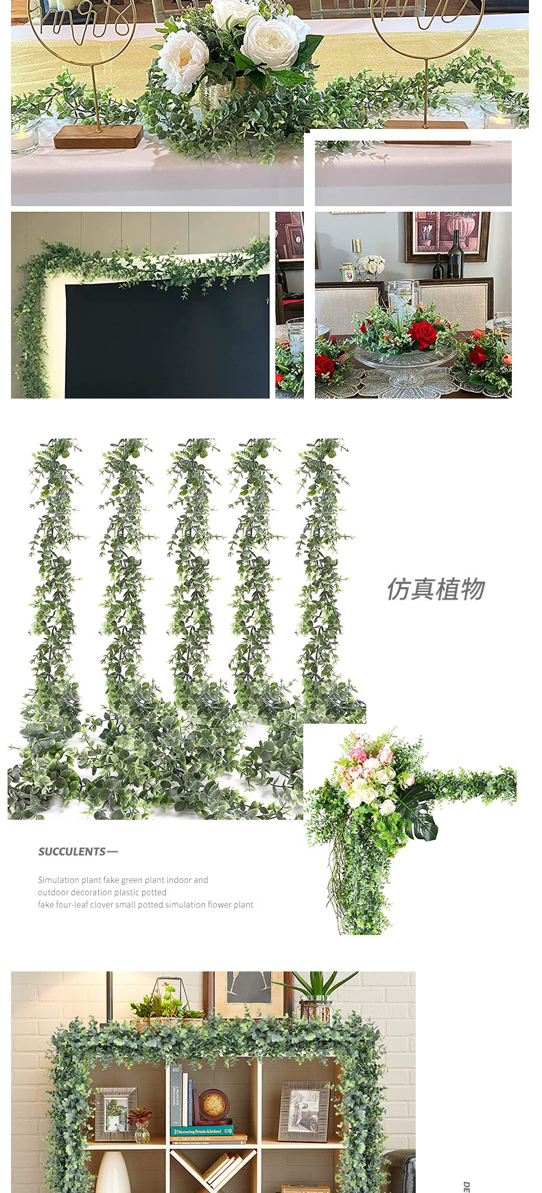 尖尤加利壁挂_06