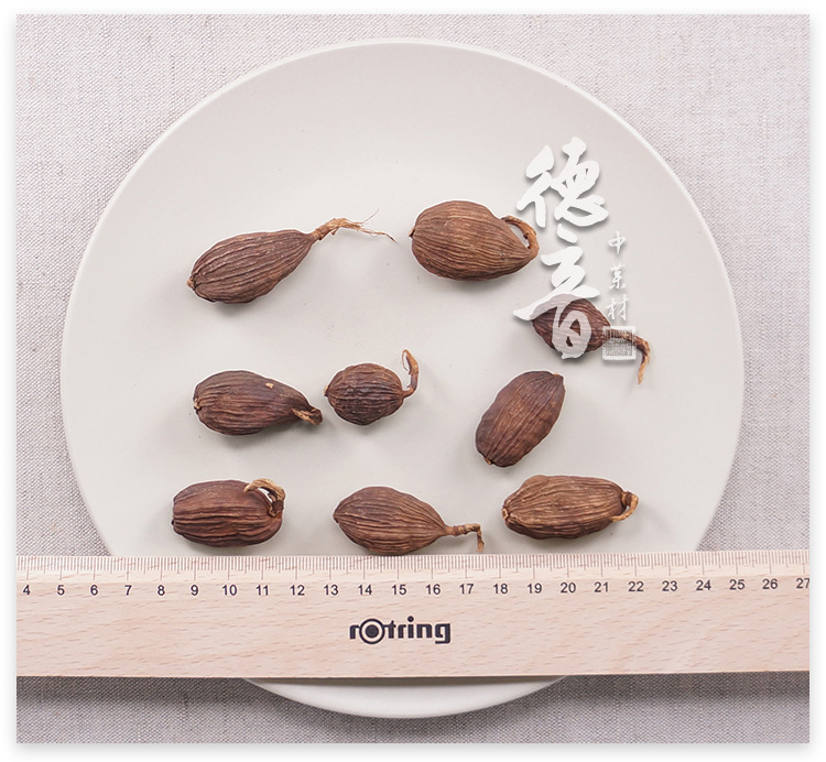 Dried Tsaoko Fruit Kernels Cao Guo Ren Whole Bulk Culinary Herb for Cooking and Braising in use