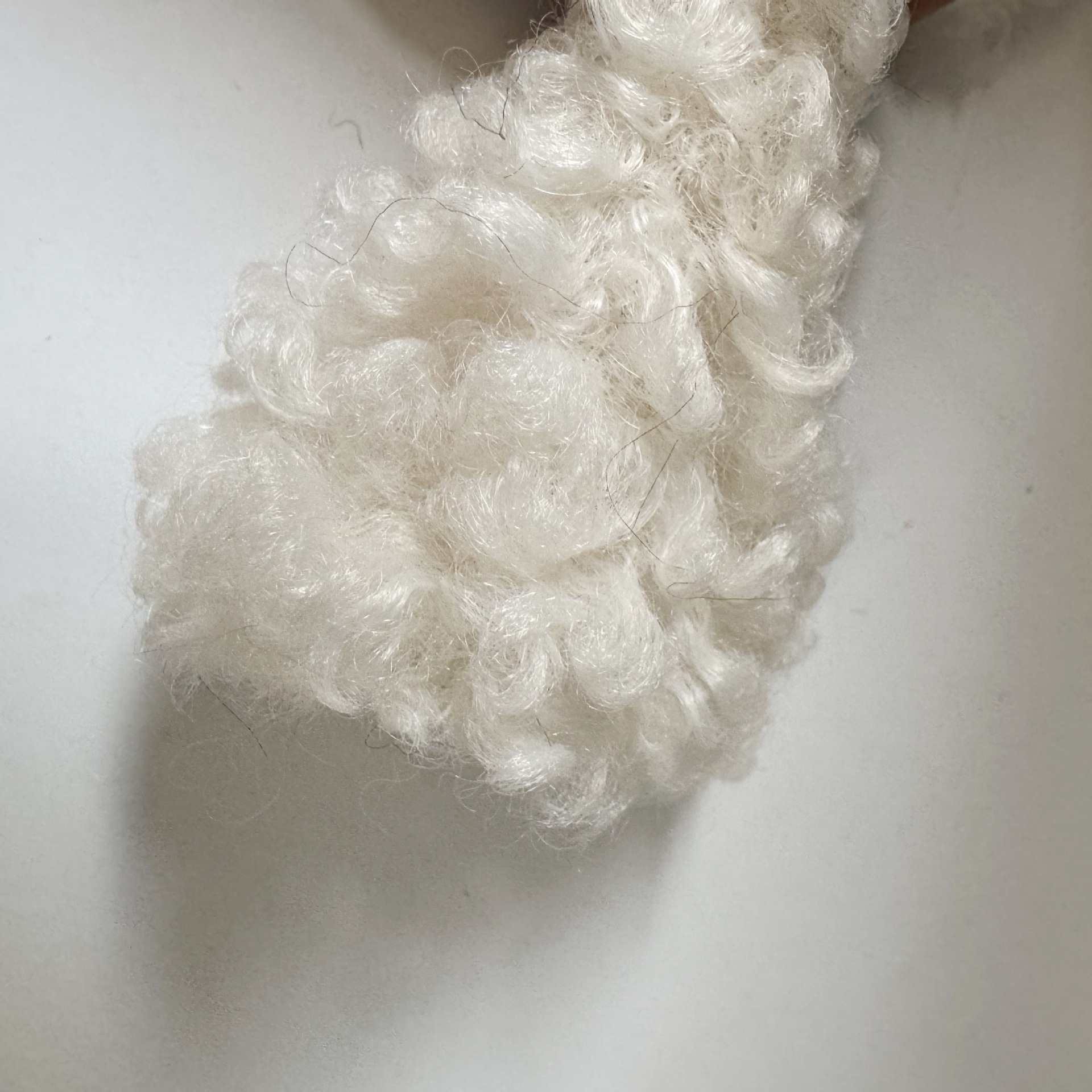 微信图片_20250401164327_副本