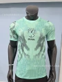 2627 Brazil Green