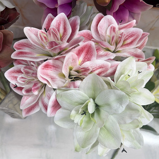 3-Head Clivia Artificial Rose Flower Artificial Flower Wedding Bouquet Fake Flower High-End Home Silk Flower Wholesale