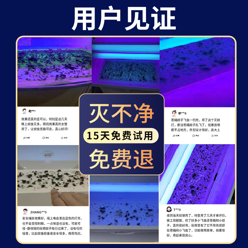 Gallery 2
