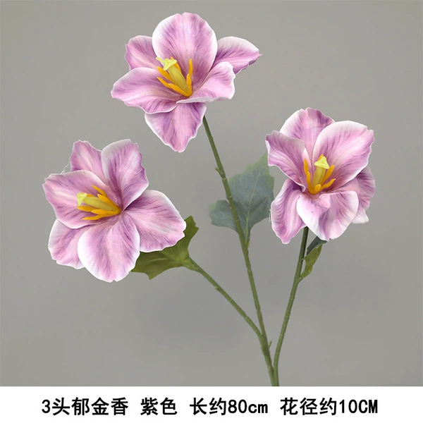 3 tulip purple