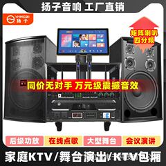 揚子ハイパワー家庭用KTVスピーカーセットカラオケホームK歌ダンススタジオ会議室スピーカーステレオ