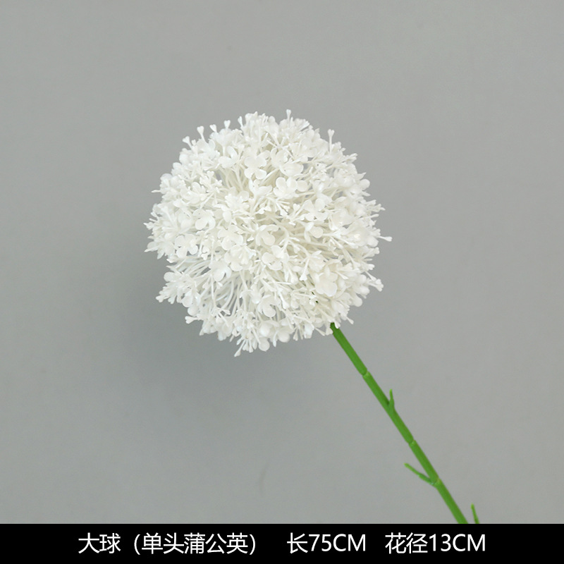 Big ball (single dandelion)