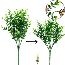 �����Gֲ����������ɫ�ȼ��������Ҿ��b�����޹�²��쾰����ֲ��