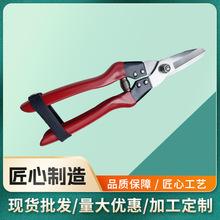�羳�S�ҹ������P䓈@����֦������ϡ�����P�����F��늹������l